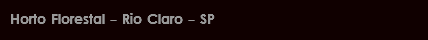 Horto Florestal - Rio Claro - SP